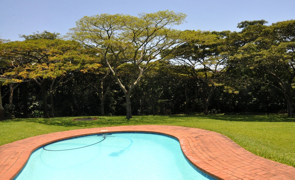Birds of Paradise B&B 23/46