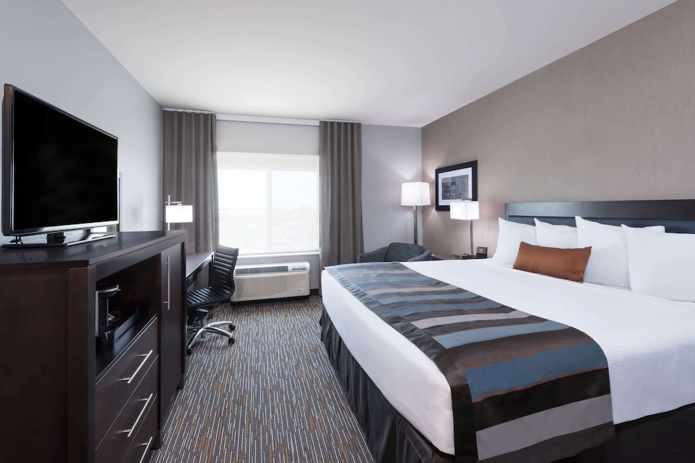 Room, King Bed, Accessible