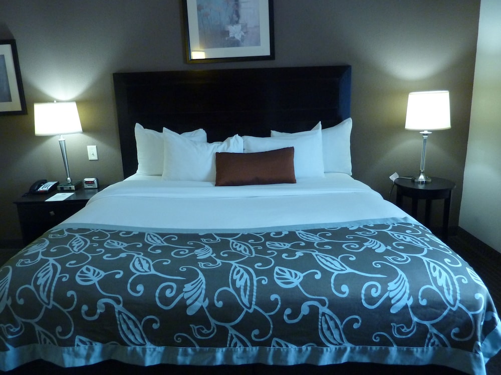 Wingate by Wyndham Erlanger - Florence - Cincinnati South 13/28