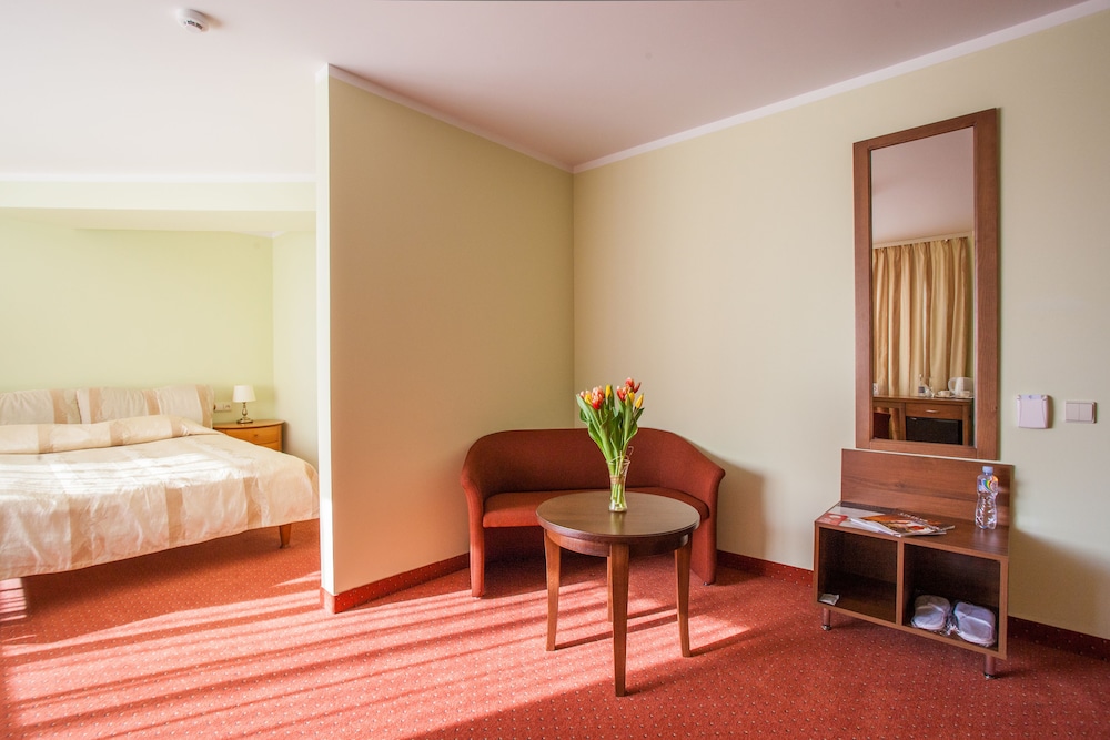 Airinn Vilnius Hotel 32/75