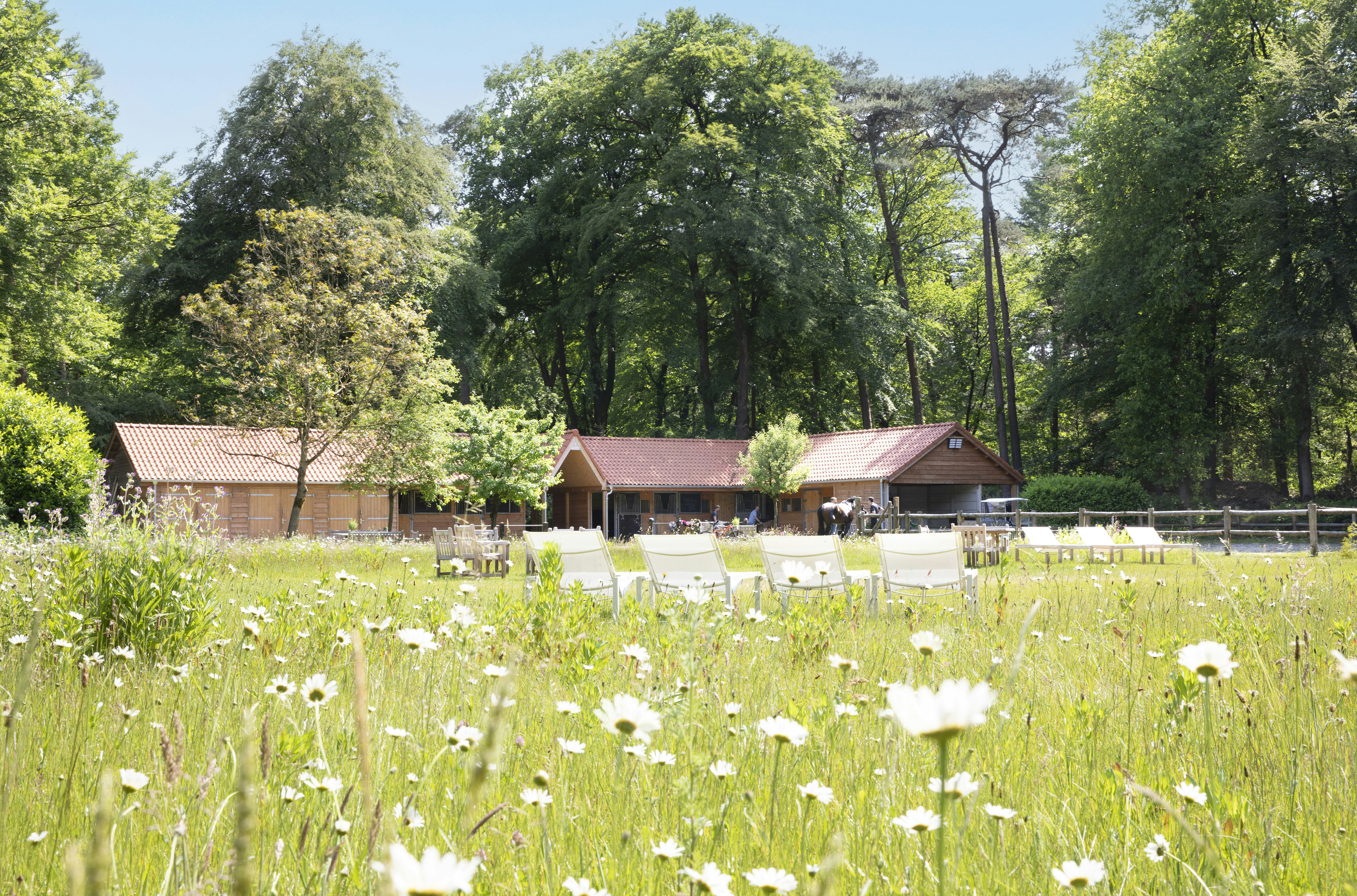 Relais And Chateaux Hotel Landgoed Het Roode Koper 24/27