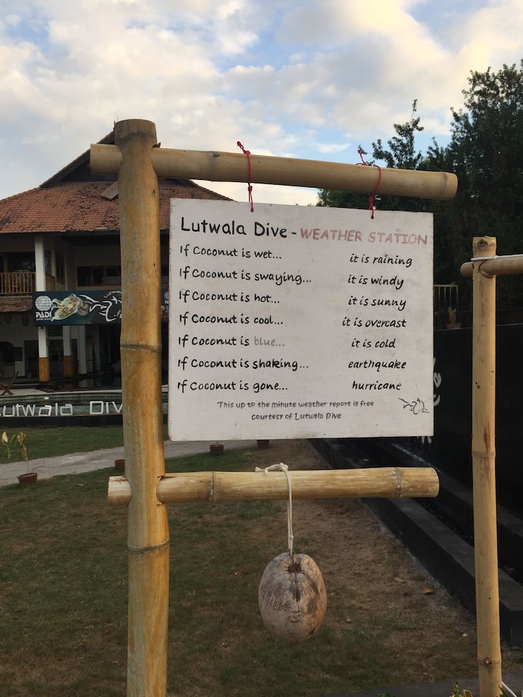 Lutwala Dive And Bungalows 6/36