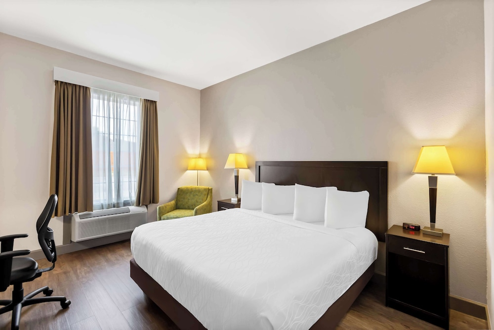 Suite, King Bed