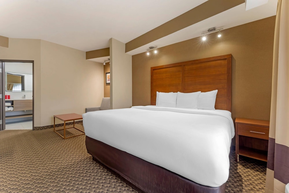 جناح بسرير كينج لذوي الإعاقة، Comfort Suites Monroeville - Pittsburgh East 2/3