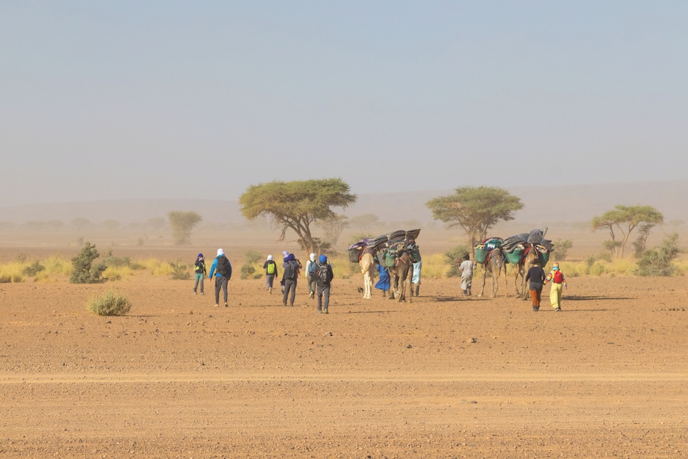 Sahara Peace Camp 31/38