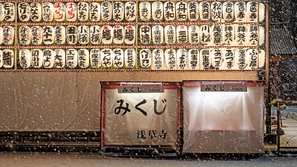 Stay SAKURA Tokyo Asakusa Yokozuna Hotel 10/50