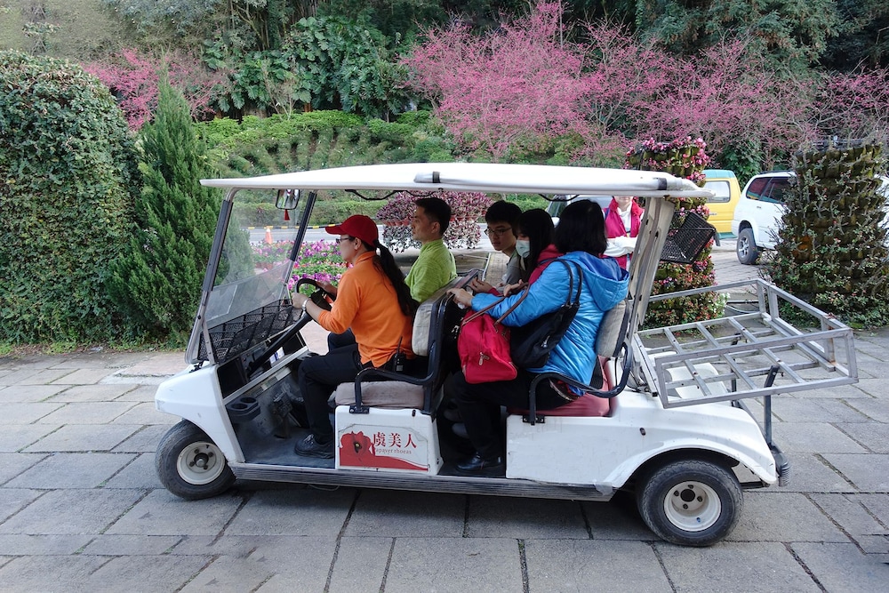 Tai-Yi Red Maple Resort(Tai-Yi Ecological Leisure Farm) 57/64