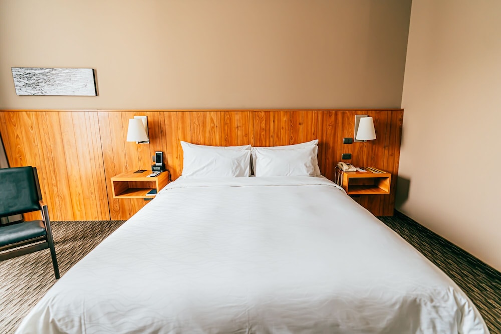 Pullman Lima San Isidro 14/49