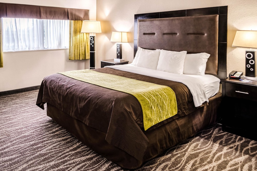 Comfort Inn Downtown Charleston 13/35