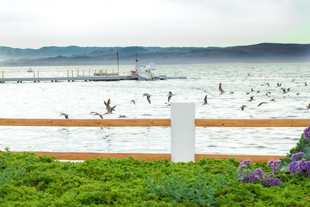 Hotel Paracas, a Luxury Collection Resort, Paracas 41/81