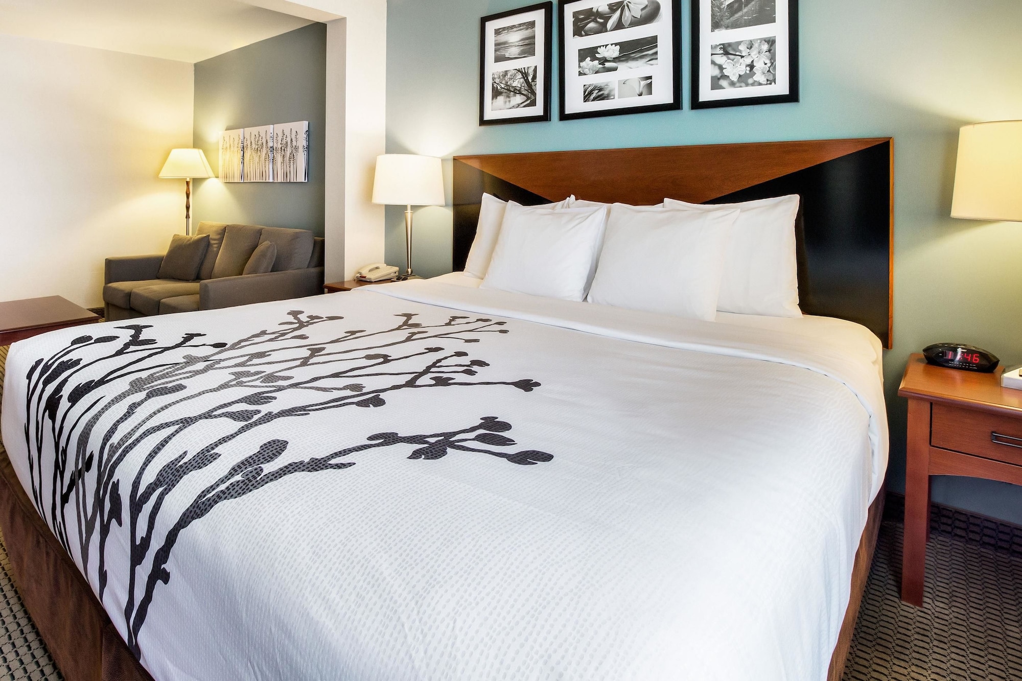 SUITE, KING BED, SOFA, ACCESSIBLE