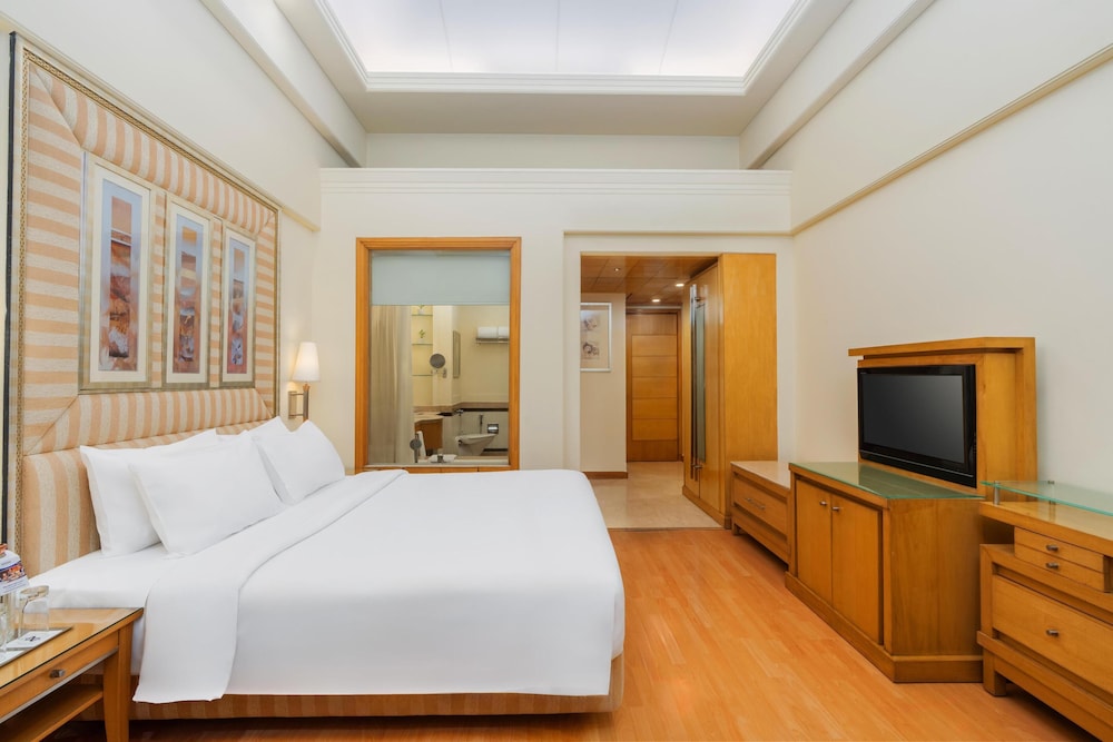 Park Plaza Gurugram 17/66