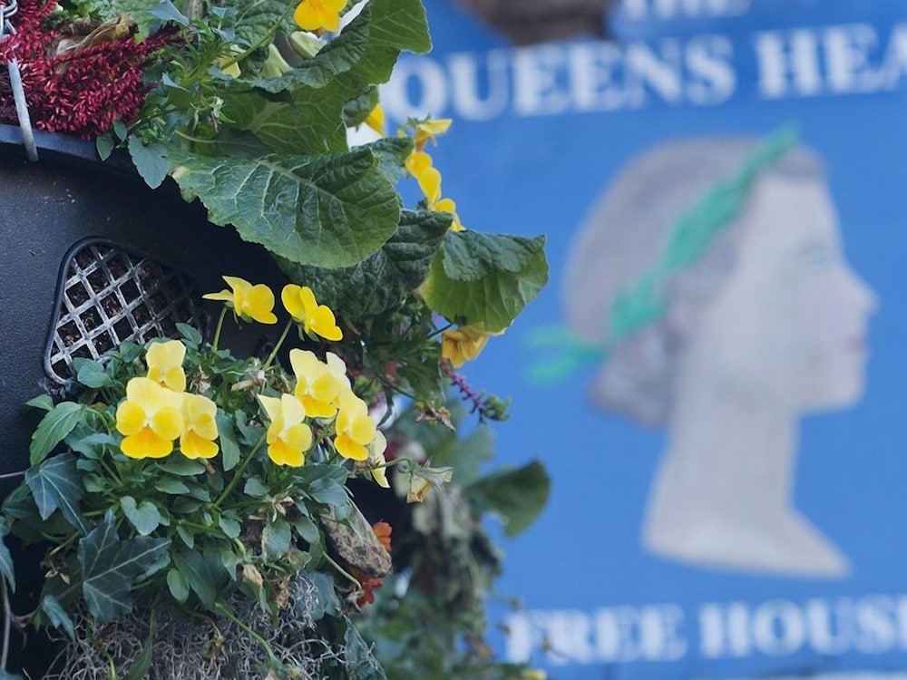 The Queens Head 16/22