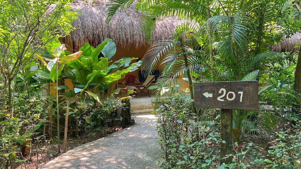 Piedra de Agua Hotel Boutique Palenque 3/66