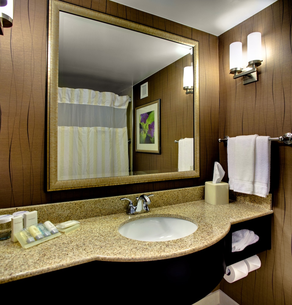 Hilton Garden Inn Raleigh-Durham Airport 7/42