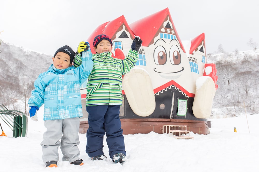 Hotel Green Plaza Hakuba 41/50