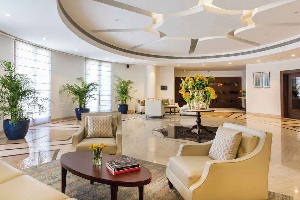 DLF Club 5 16/34