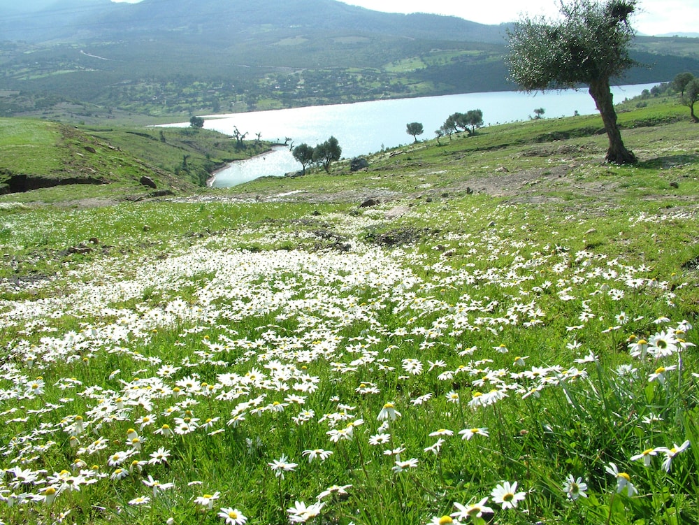 EL MOURADI HAMMAM BOURGUIBA 52/67