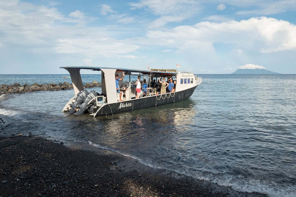 Murex Manado Dive Resort 34/50