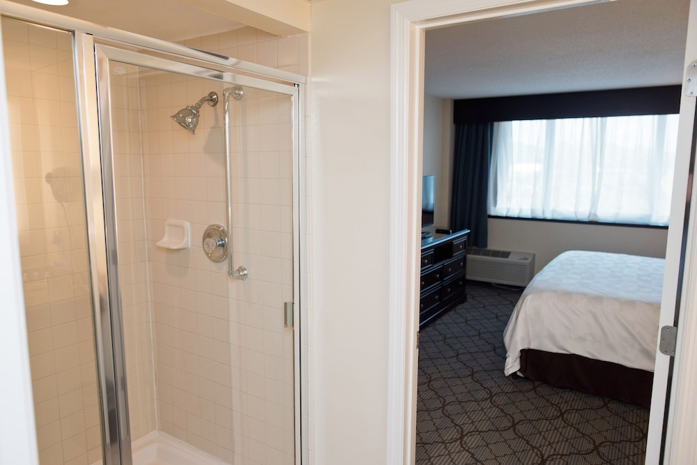 Holiday Inn Birmingham-Airport 22/63