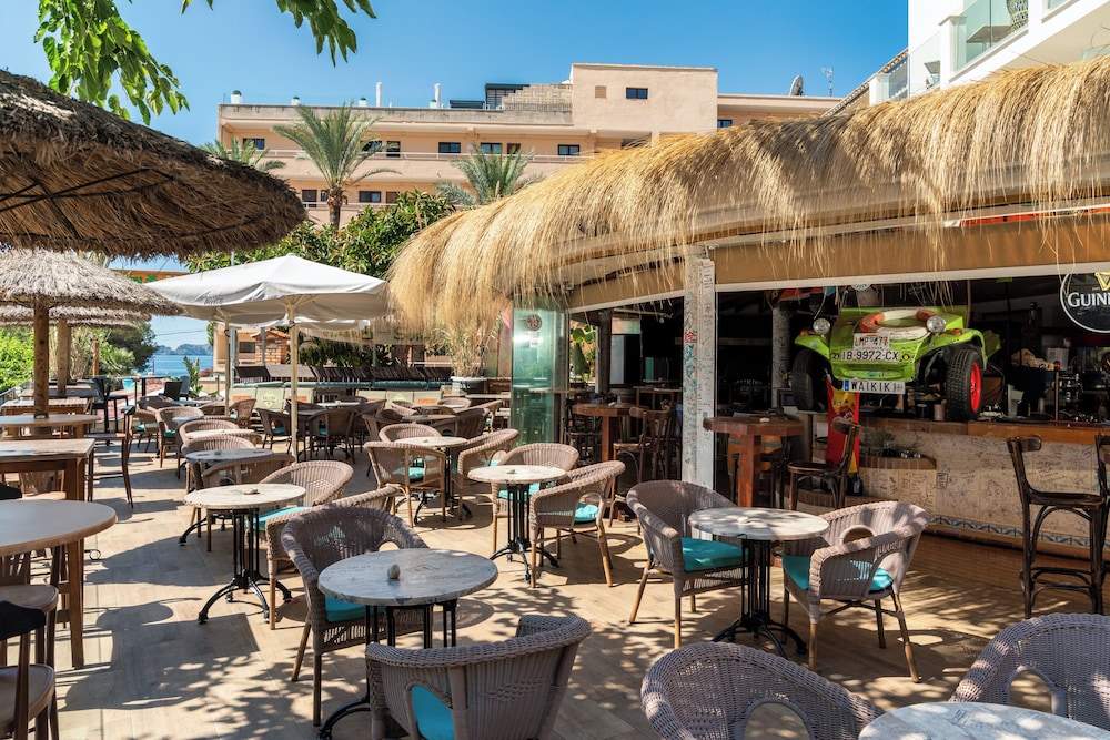 Hotel Playas de Paguera 31/50