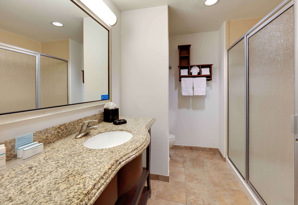 Hampton Inn Suites Dallas Arlington South 23/50