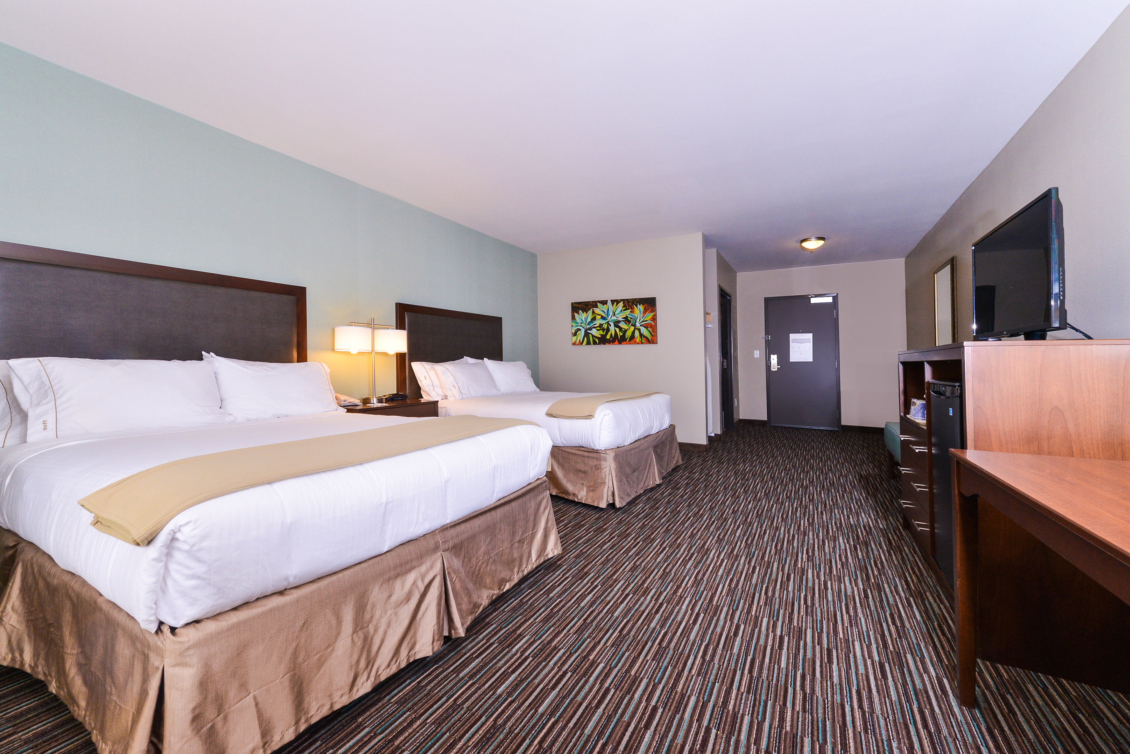 Holiday Inn Express Hotel & Suites Indio - Coachella Valley 21/78