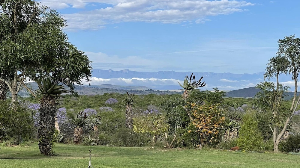 Spionkop Lodge 39/50