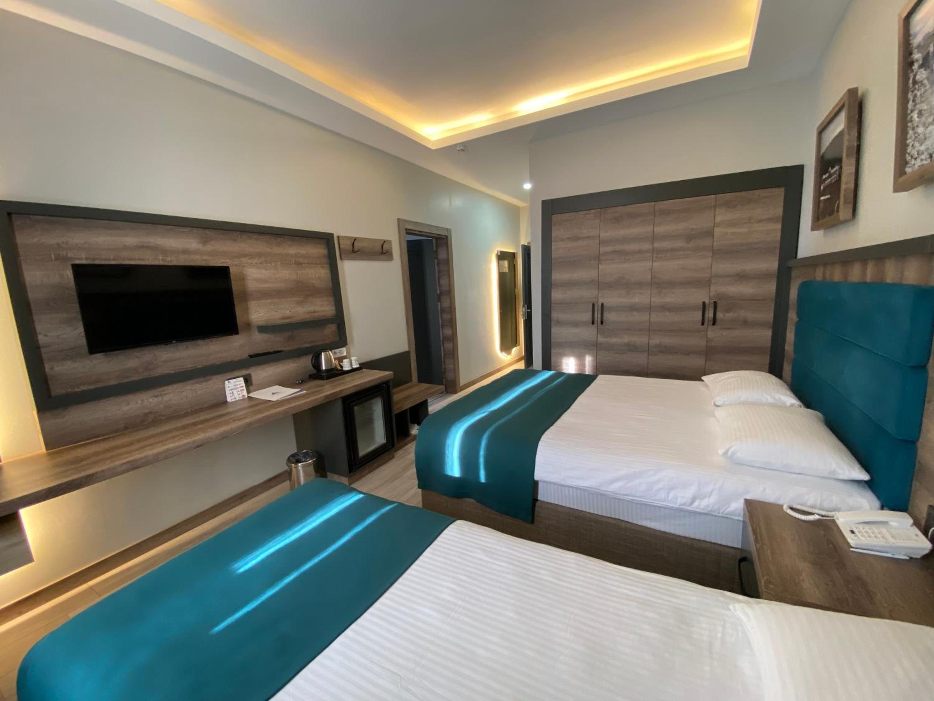 Junior Suite, Mountain View
