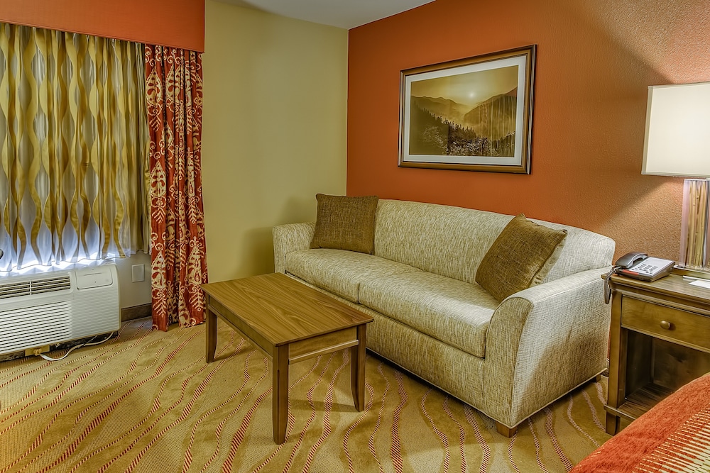 La Quinta Inn Suites Pigeon Forge 47/64