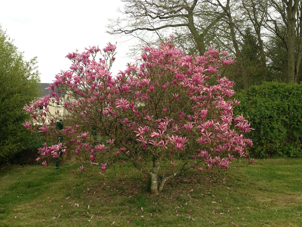 Manoir Du Parc 29/50