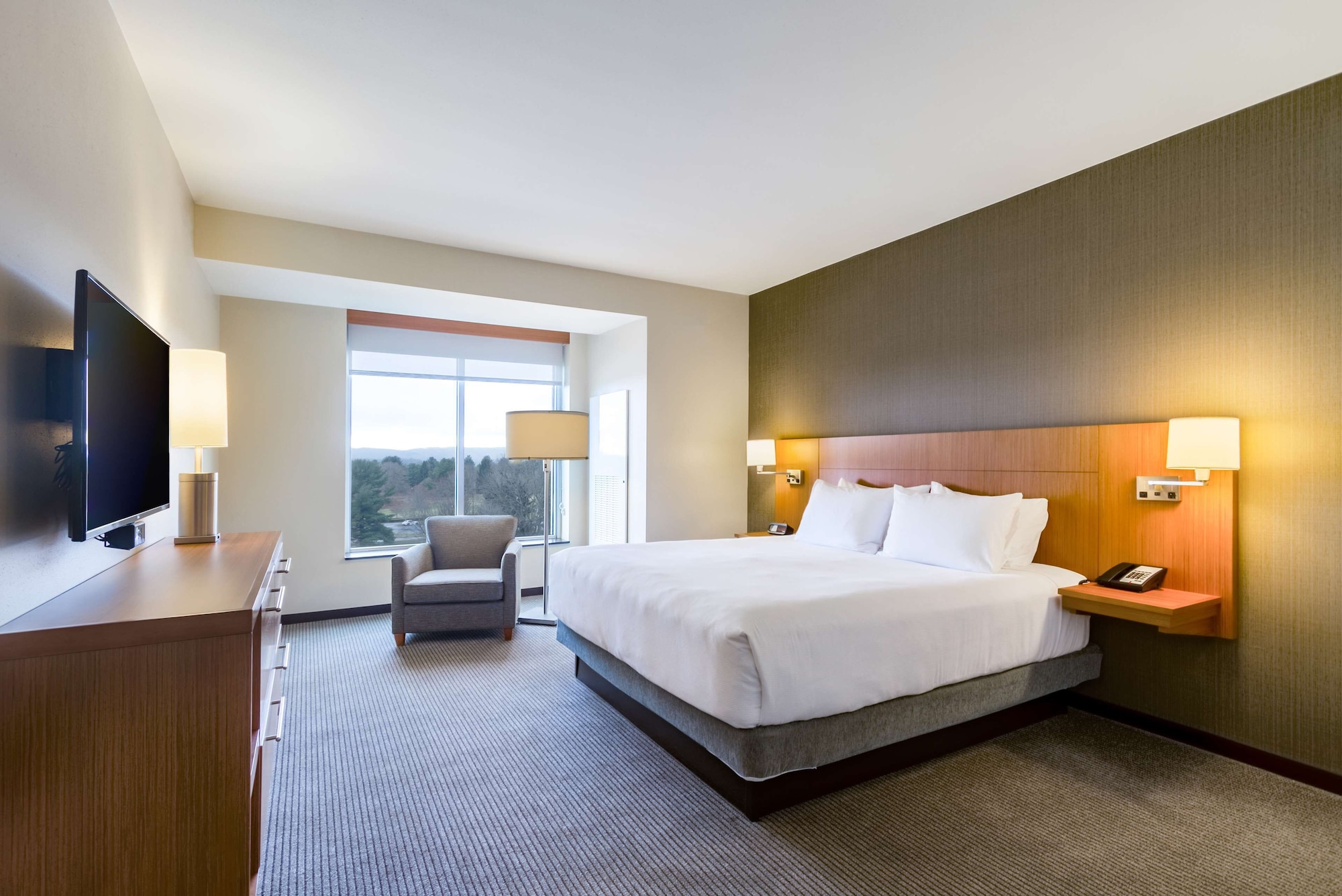 Room at Hyatt Place Blacksburg / University, BLACKSBURG - VA