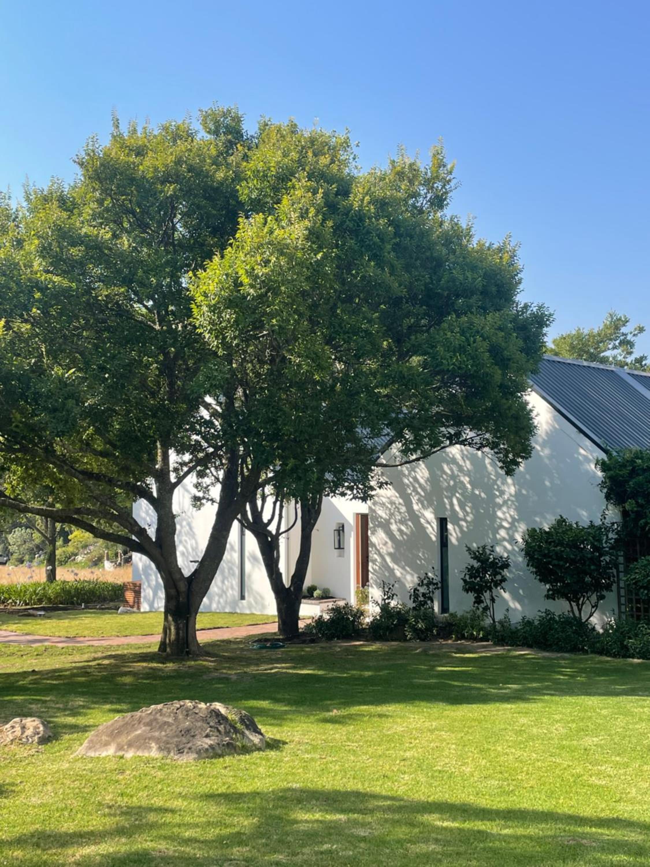 Haskell Vineyards 43/50