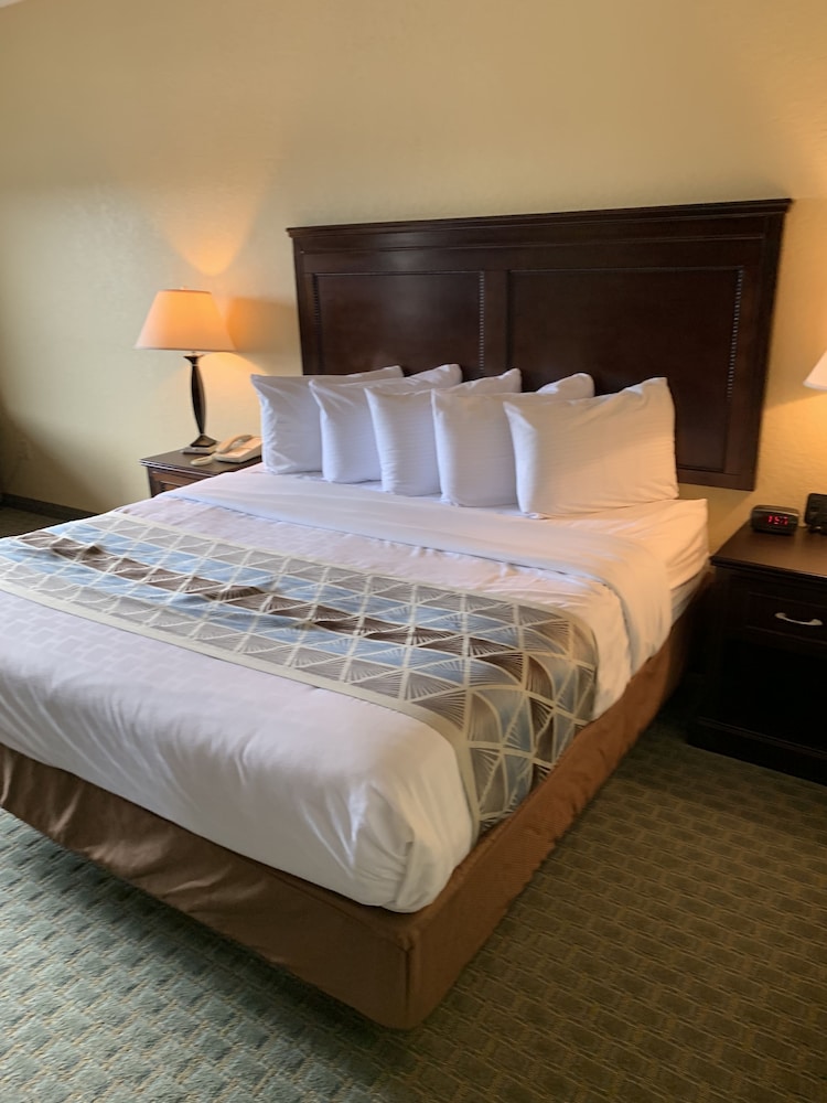 Ambassador Inn and Suites Tuscaloosa 34/57