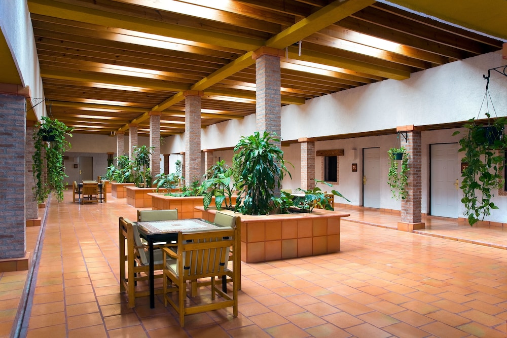 Termas de San Joaquin 3/50