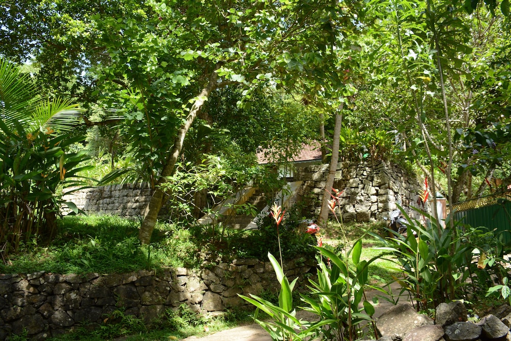 The Jungle House 38/50