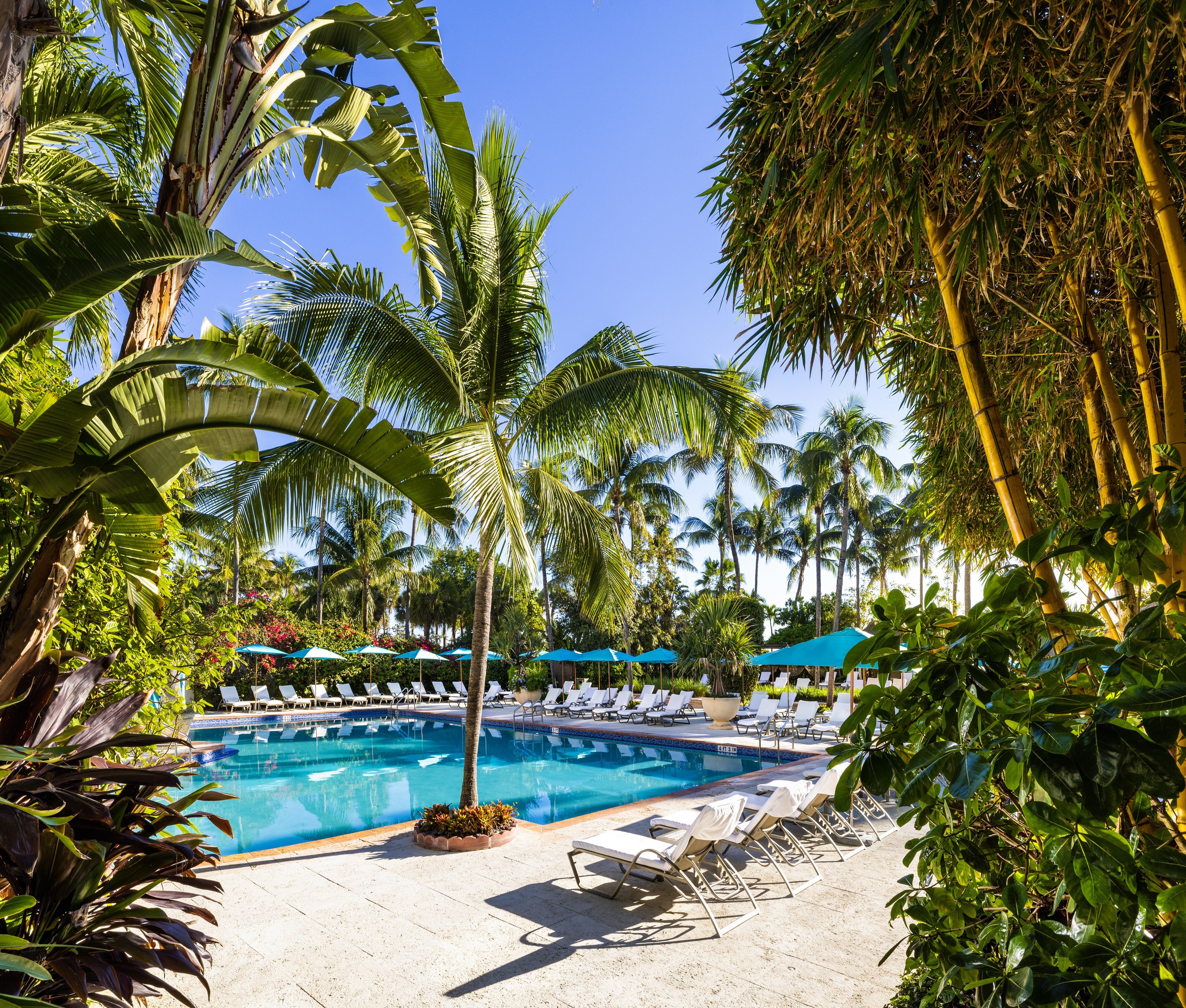 The Palms Hotel and Spa 48/50