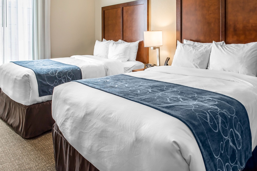 Comfort Suites Near Potomac Mills 27/50
