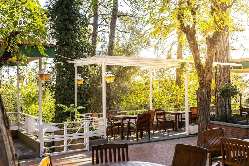 Forest Park Hotel 49/65