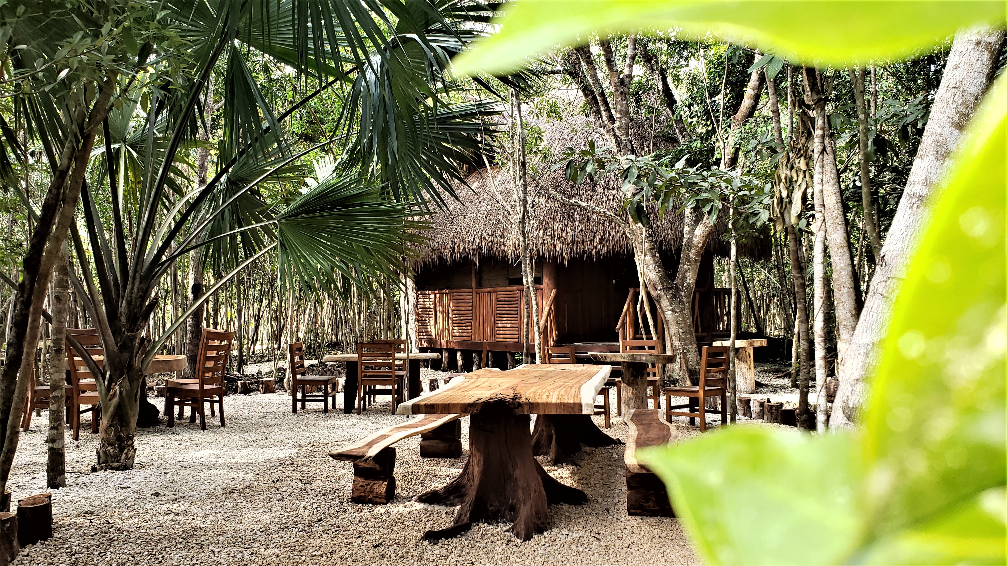 Aldea Maya-Ha Cabanas con Cenotes 40/55