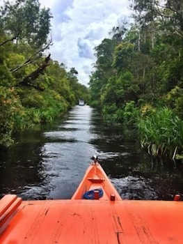 Rimba Orangutan Eco Lodge 33/43