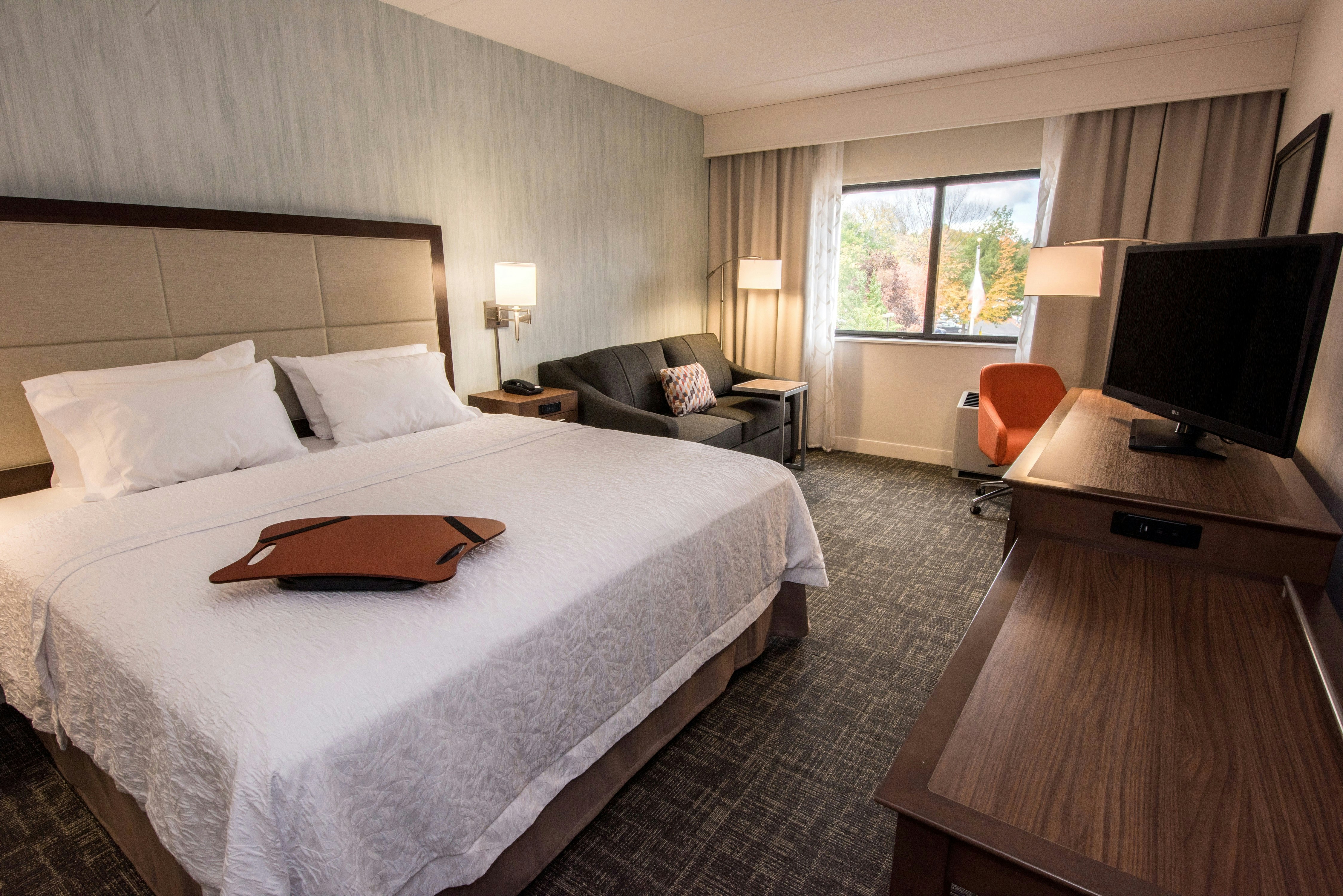 ROOM, KING BED, SOFA