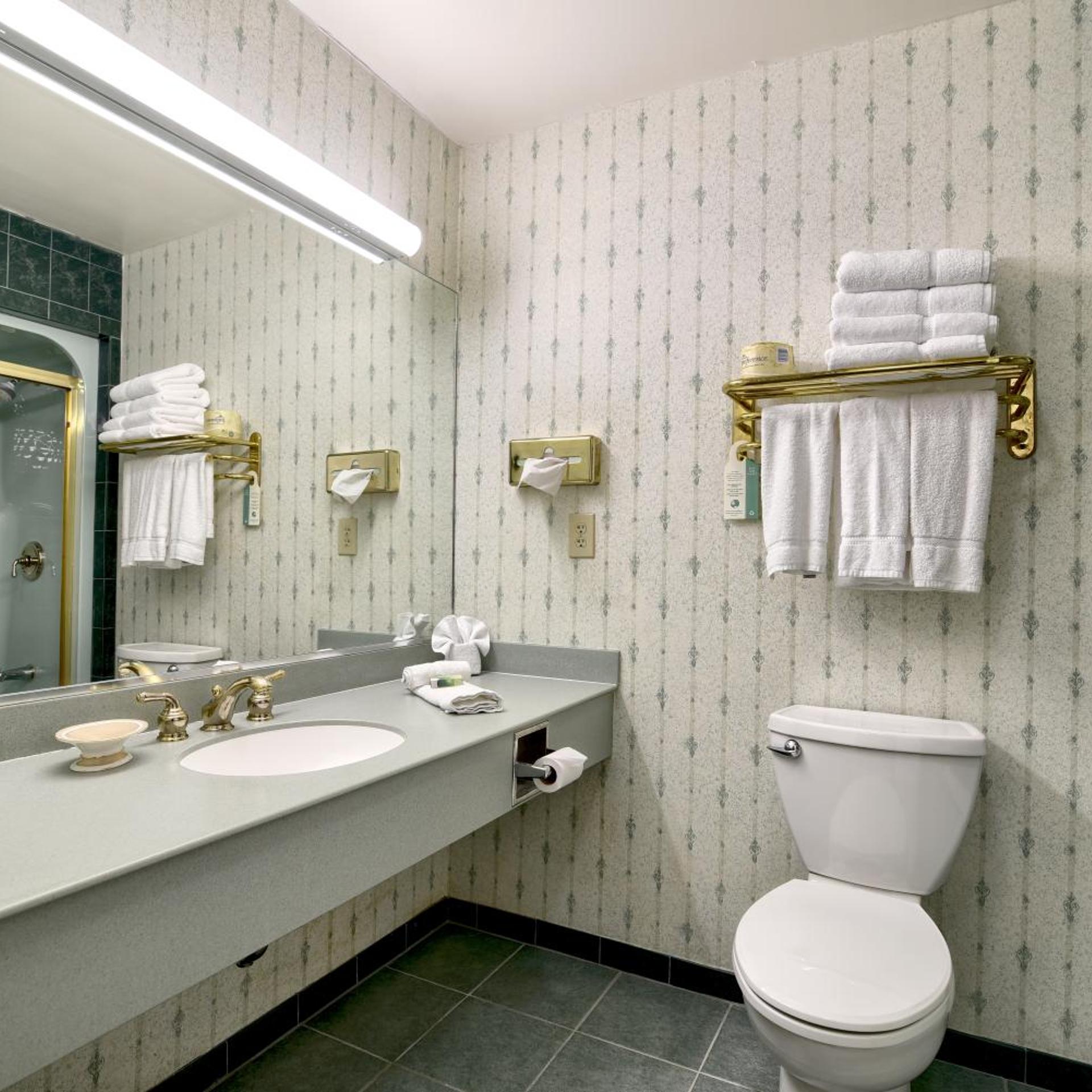 غرفة ديلوكس بسرير كينج بشرفة، Roosevelt Inn And Suites 6/6