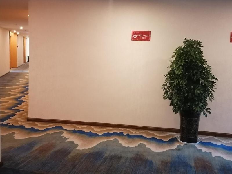 GreenTree Eastern Anshun Town Huangguoshu Avenue Jinhui Xindu Hotel 47/50
