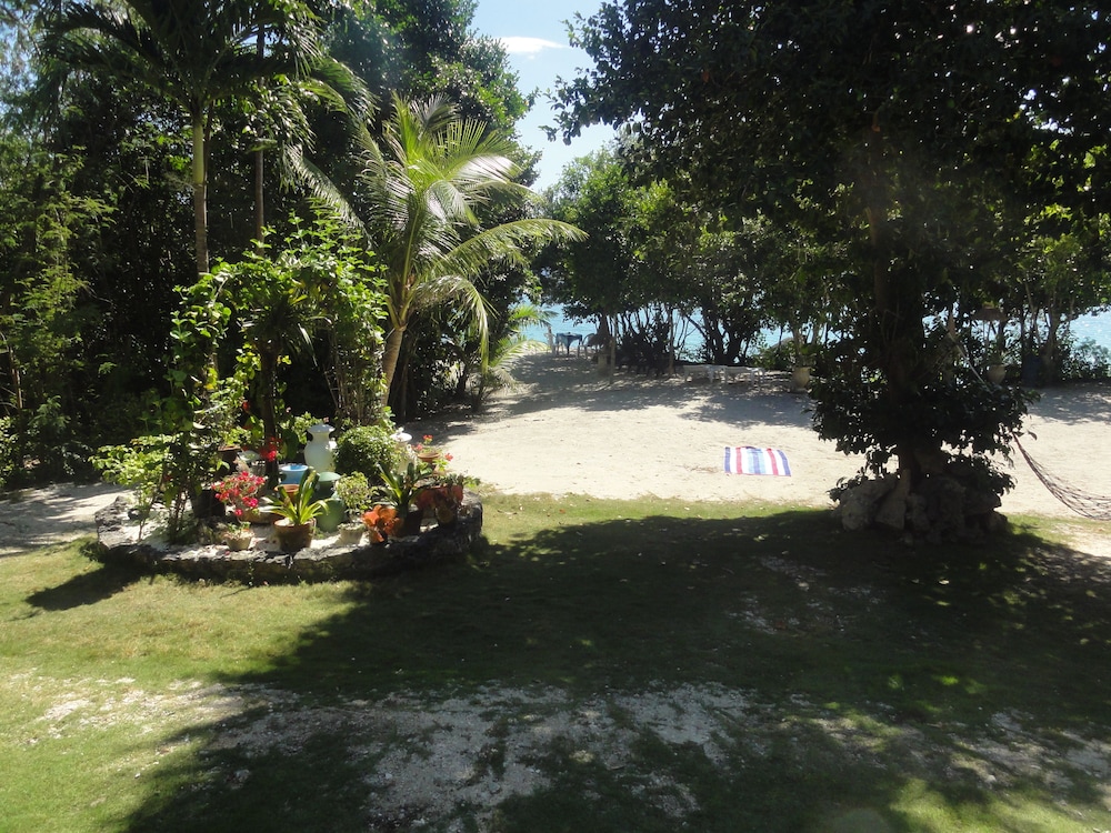 Sea Turtle House 38/50
