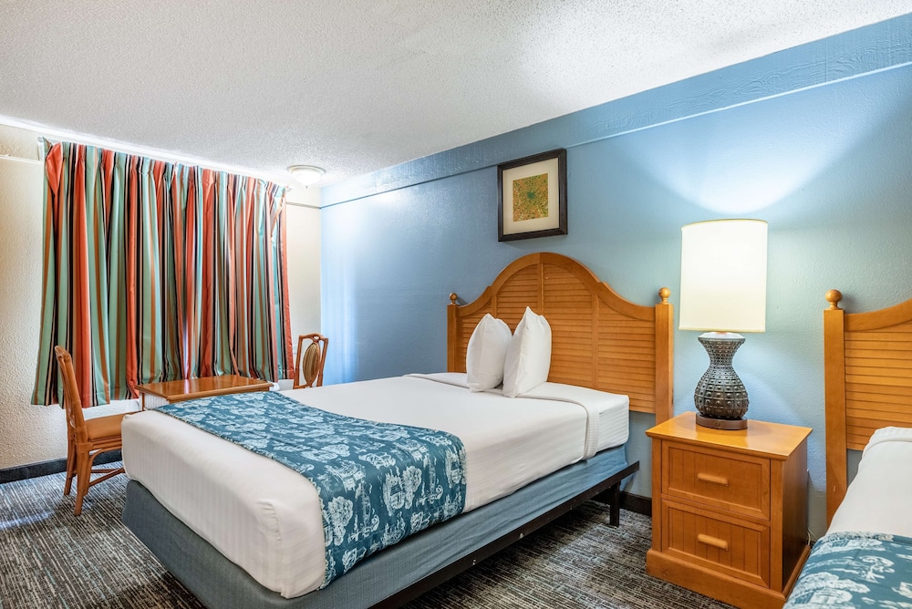 Super 8 by Wyndham Kissimmee/Orlando 12/50