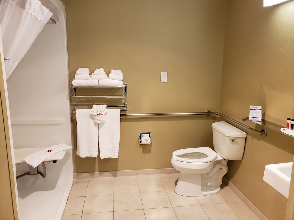 Microtel Inn and Suites Dover 31/36