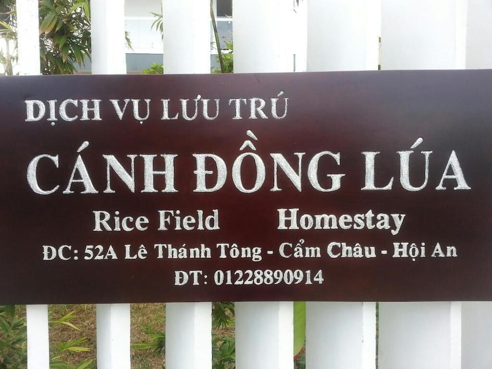 ライス フィールド ホームステイ(Rice Field Homestay) 写真4