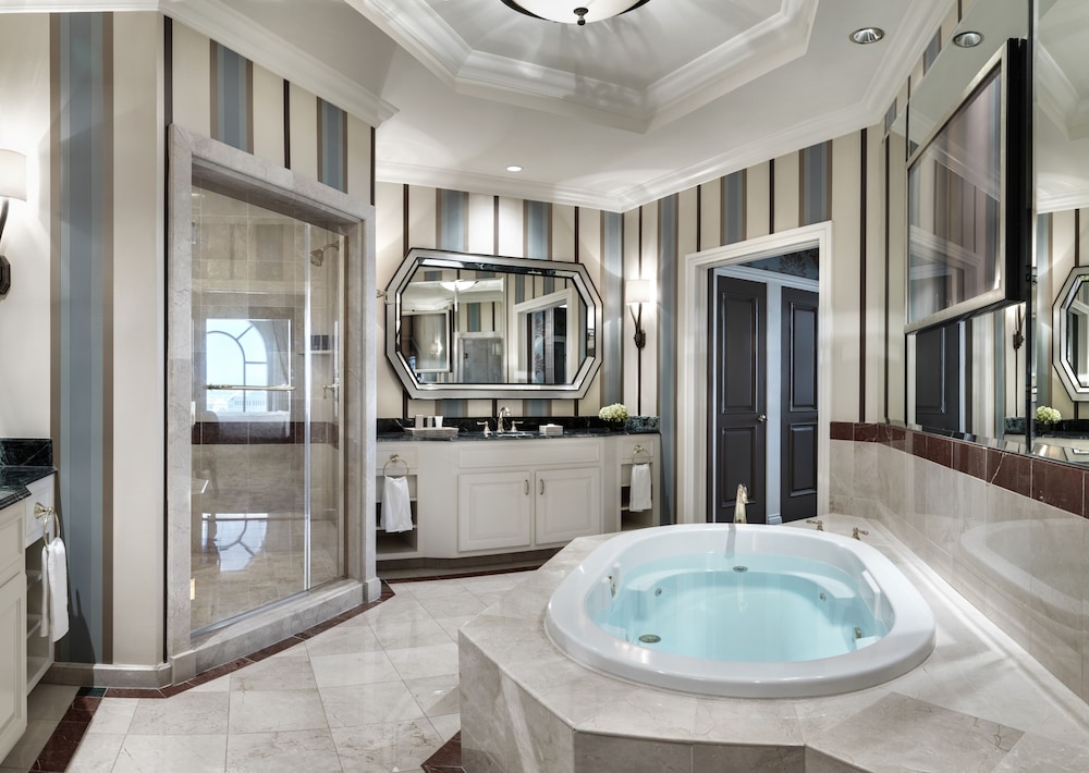 The Venetian Resort Las Vegas 53/72