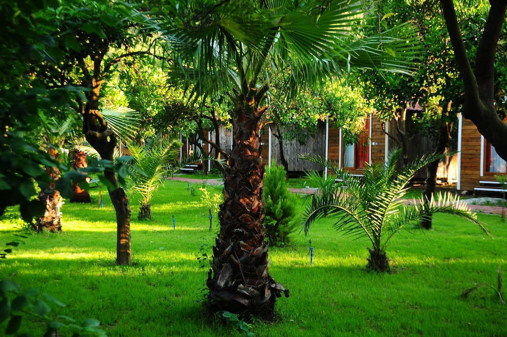 Likya Evleri Olympos - Adults Only 16/27